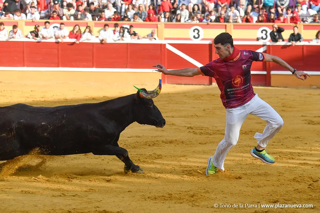Suelta de vaquillas en Tudela d&iacute;a 25 2025 14