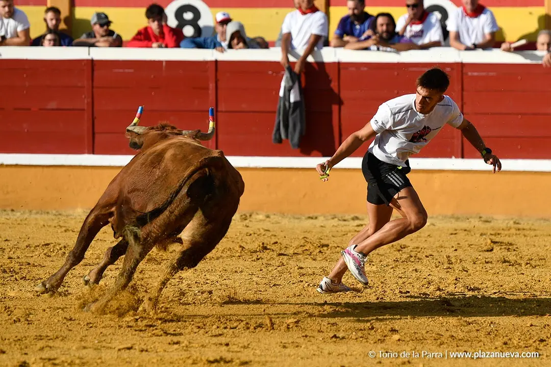 Suelta de vaquillas en Tudela d&iacute;a 25 2025 19