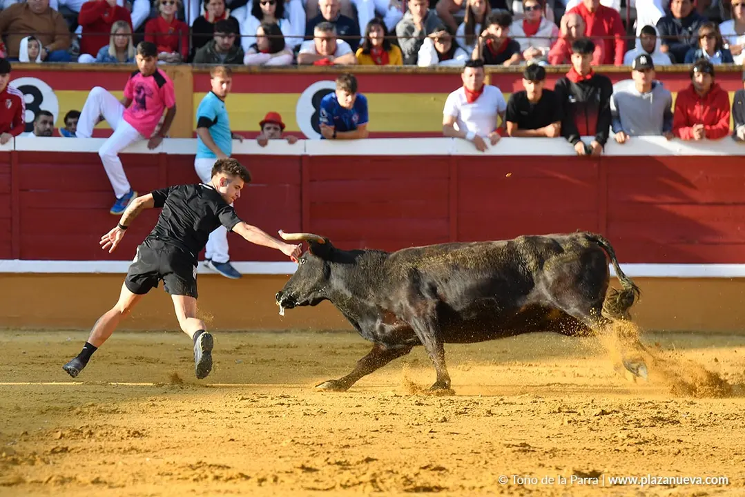 Suelta de vaquillas en Tudela d&iacute;a 25 2025 17
