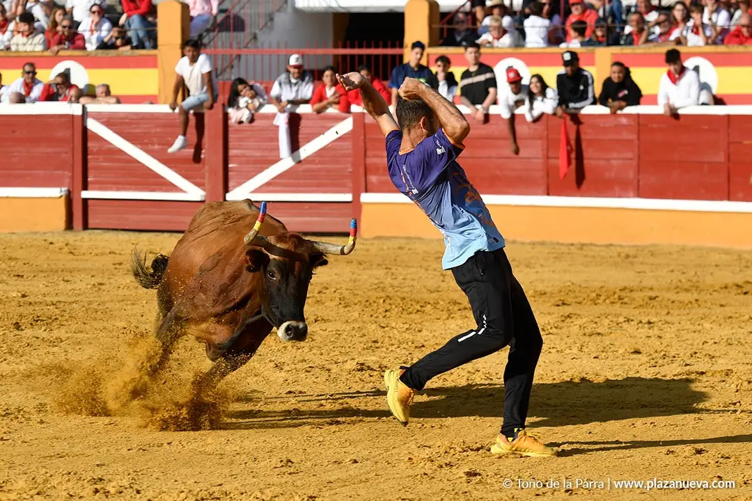 Suelta de vaquillas en Tudela d&iacute;a 25 2025 20
