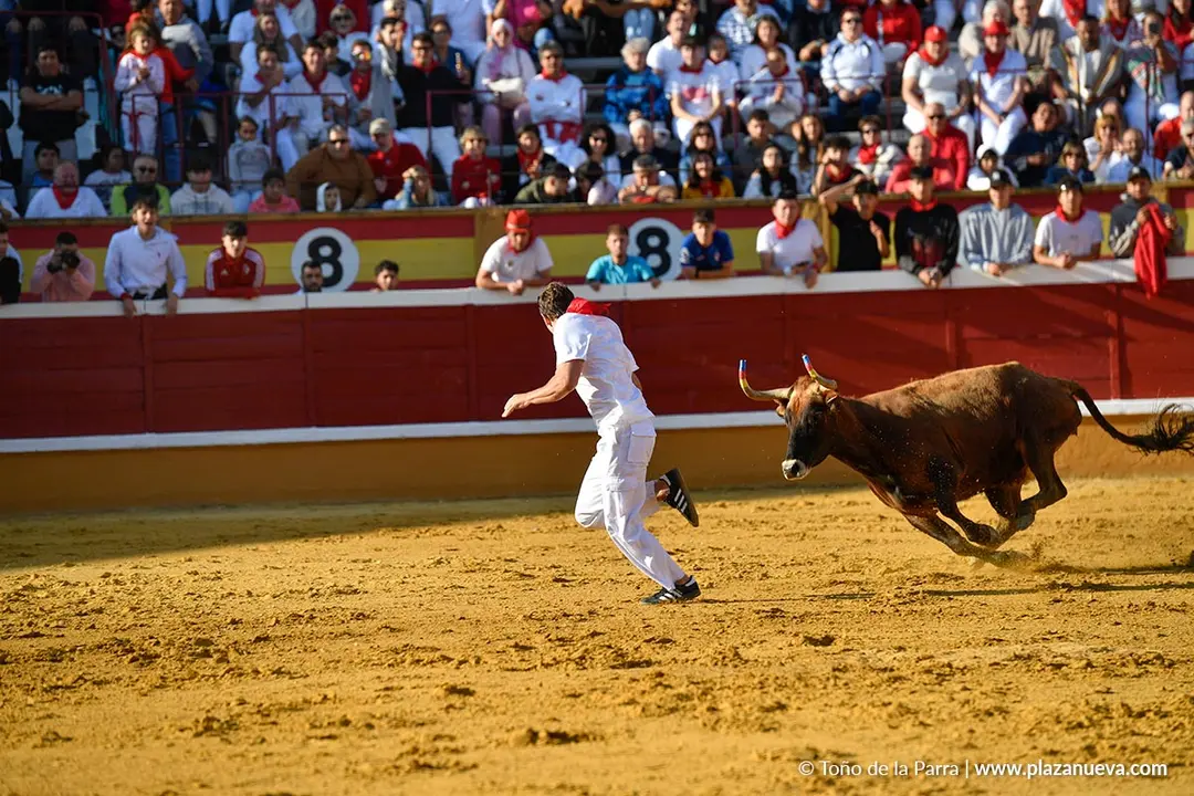 Suelta de vaquillas en Tudela d&iacute;a 25 2025 21