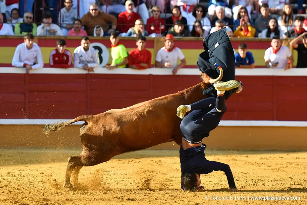Suelta de vaquillas en Tudela d&iacute;a 25 2025 22