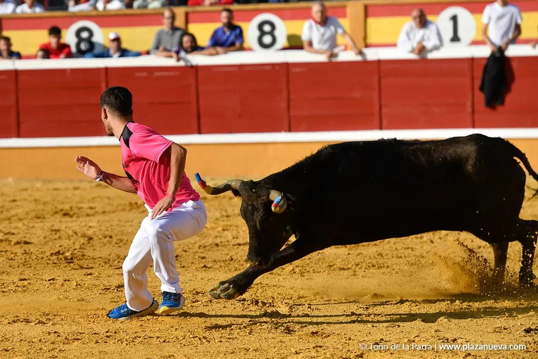 Suelta de vaquillas en Tudela d&iacute;a 25 2025 23