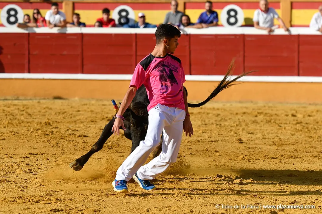 Suelta de vaquillas en Tudela d&iacute;a 25 2025 24