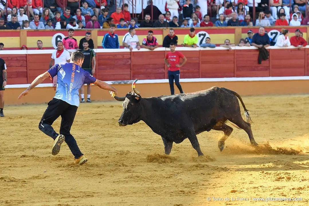 Suelta de vaquillas en Tudela d&iacute;a 25 2025 25