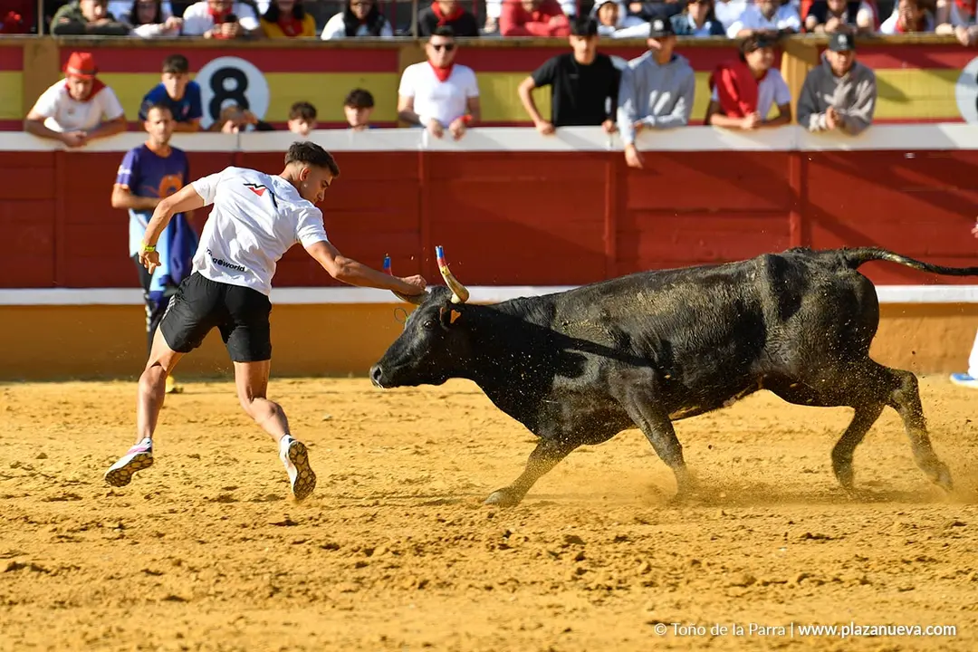 Suelta de vaquillas en Tudela d&iacute;a 25 2025 27