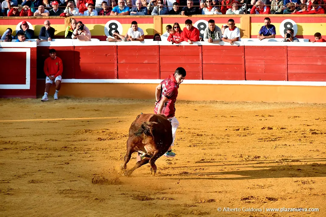Suelta de vaquillas en Tudela d&iacute;a 25 2025 28