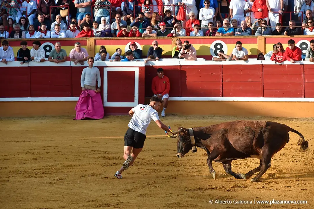 Suelta de vaquillas en Tudela d&iacute;a 25 2025 29