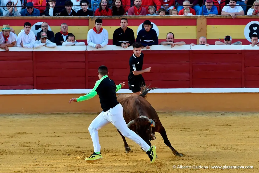 Suelta de vaquillas en Tudela d&iacute;a 25 2025 30