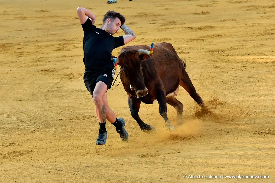 Suelta de vaquillas en Tudela d&iacute;a 25 2025 31