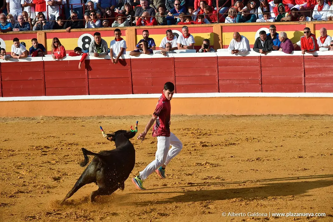 Suelta de vaquillas en Tudela d&iacute;a 25 2025 32