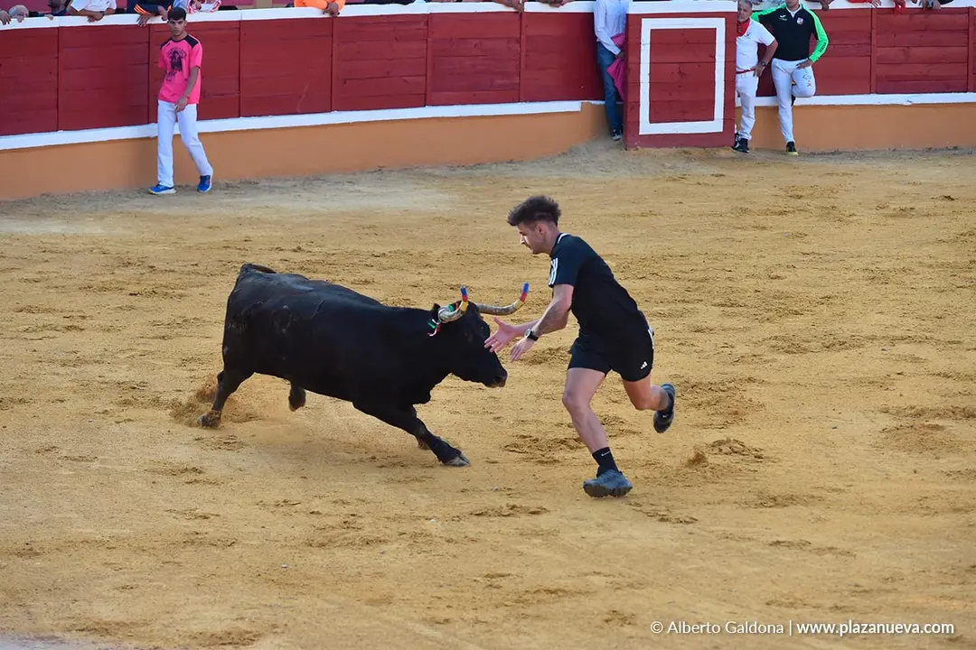 Suelta de vaquillas en Tudela d&iacute;a 25 2025 33