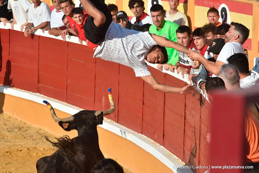 Suelta de vaquillas en Tudela d&iacute;a 25 2025 34