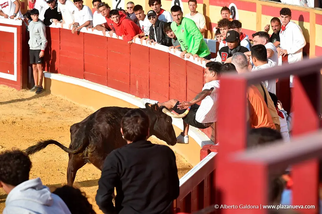 Suelta de vaquillas en Tudela d&iacute;a 25 2025 35