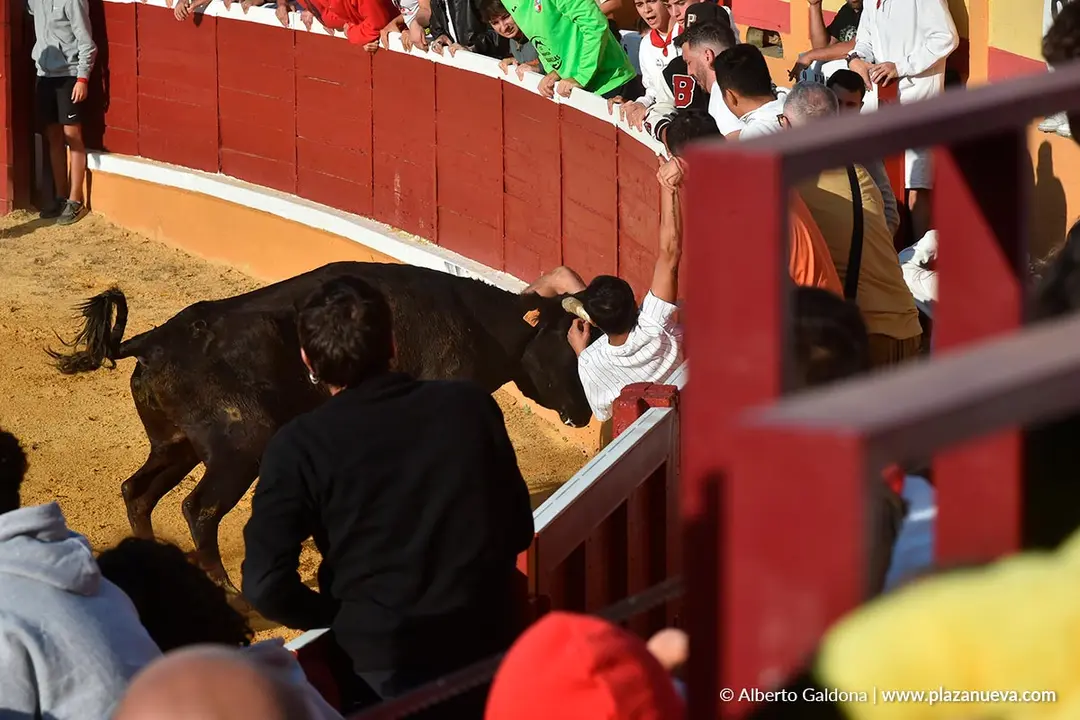 Suelta de vaquillas en Tudela d&iacute;a 25 2025 36