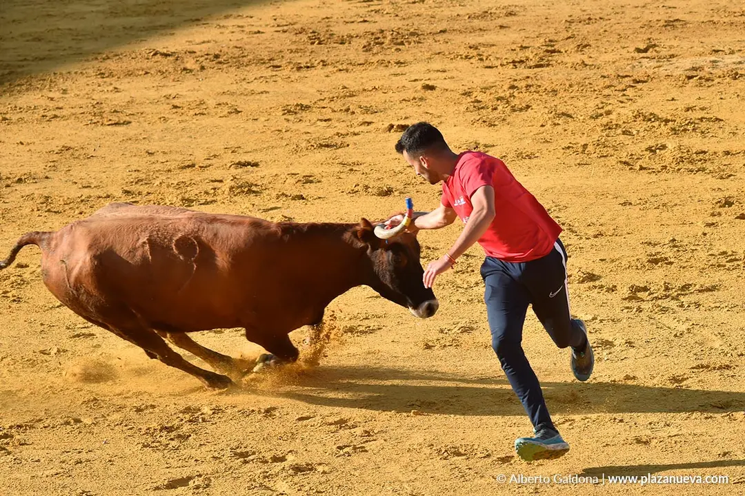 Suelta de vaquillas en Tudela d&iacute;a 25 2025 37
