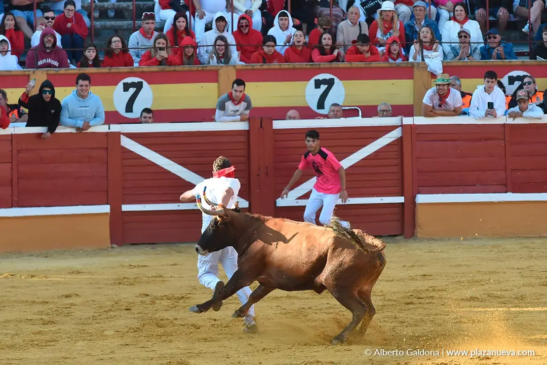 Suelta de vaquillas en Tudela d&iacute;a 25 2025 39