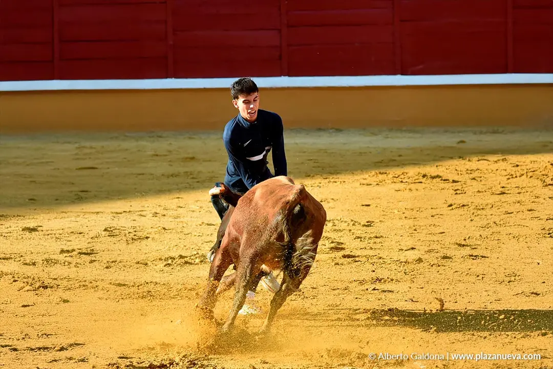 Suelta de vaquillas en Tudela d&iacute;a 25 2025 40