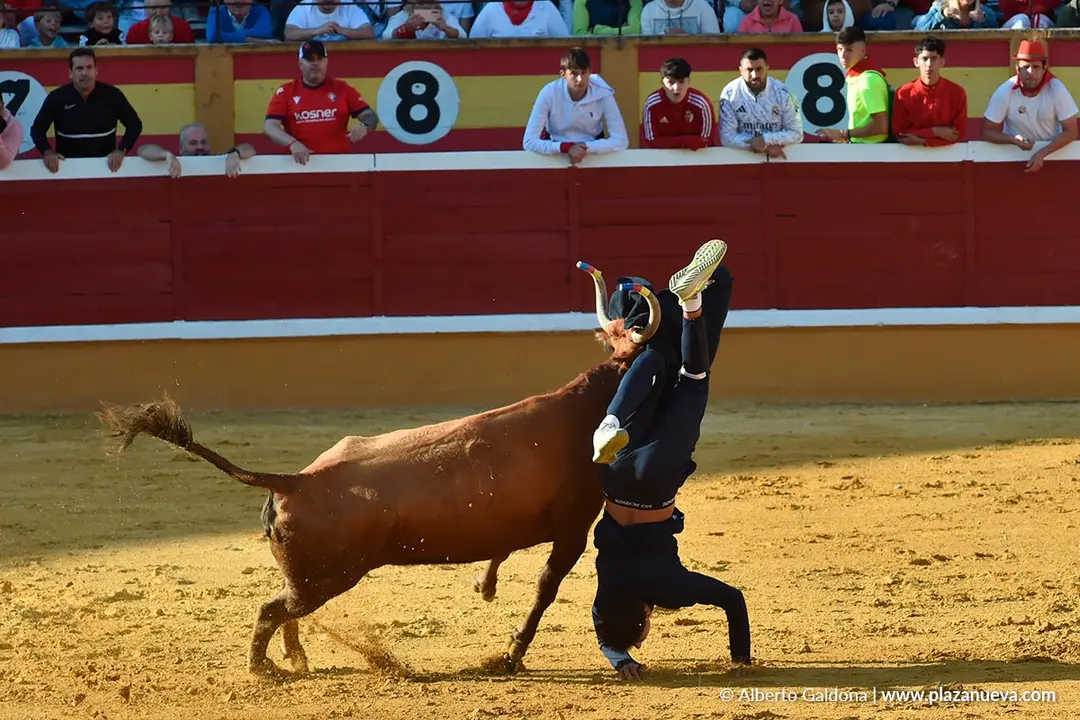 Suelta de vaquillas en Tudela d&iacute;a 25 2025 41