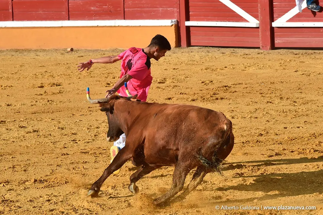 Suelta de vaquillas en Tudela d&iacute;a 25 2025 42