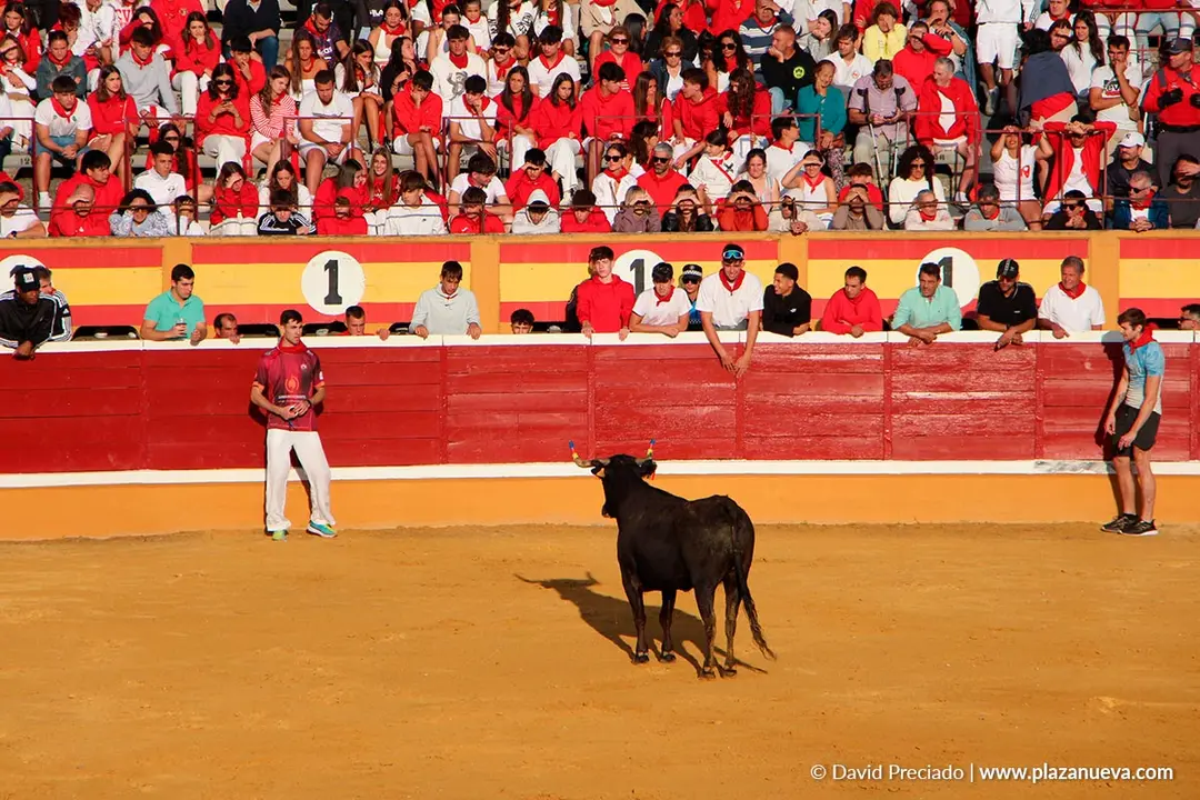 Suelta de vaquillas en Tudela d&iacute;a 25 2025 43
