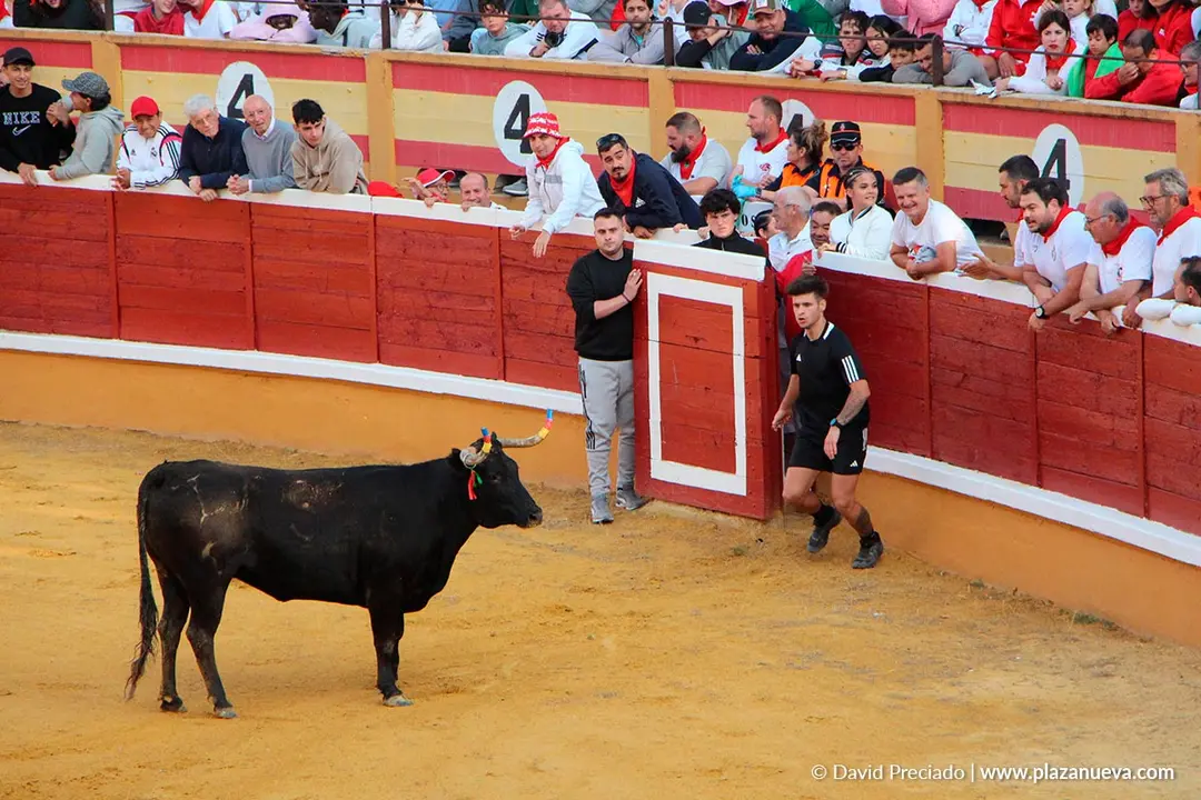 Suelta de vaquillas en Tudela d&iacute;a 25 2025 44