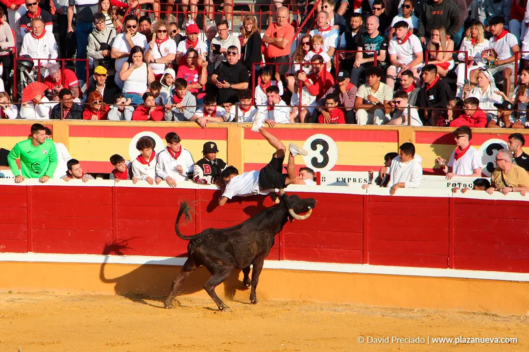 Suelta de vaquillas en Tudela d&iacute;a 25 2025 45
