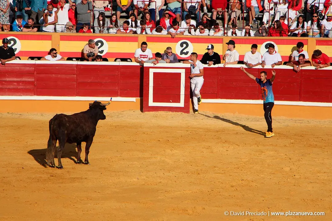 Suelta de vaquillas en Tudela d&iacute;a 25 2025 46