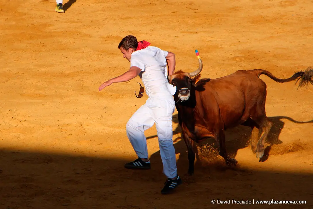 Suelta de vaquillas en Tudela d&iacute;a 25 2025 47