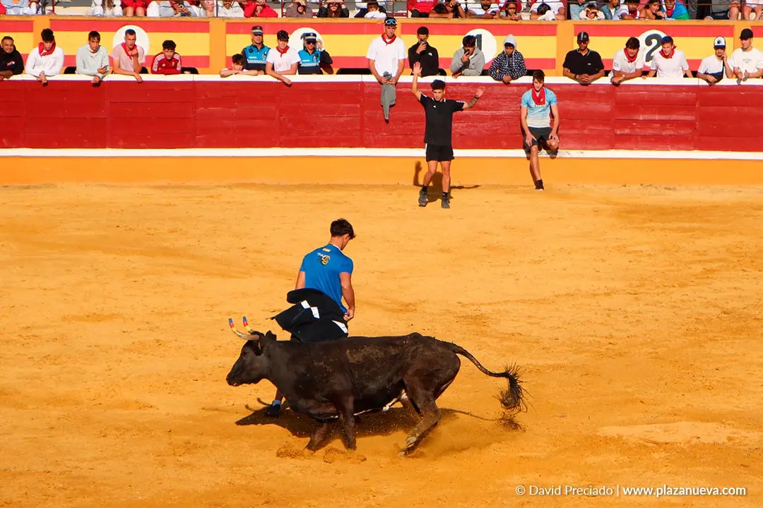 Suelta de vaquillas en Tudela d&iacute;a 25 2025 48