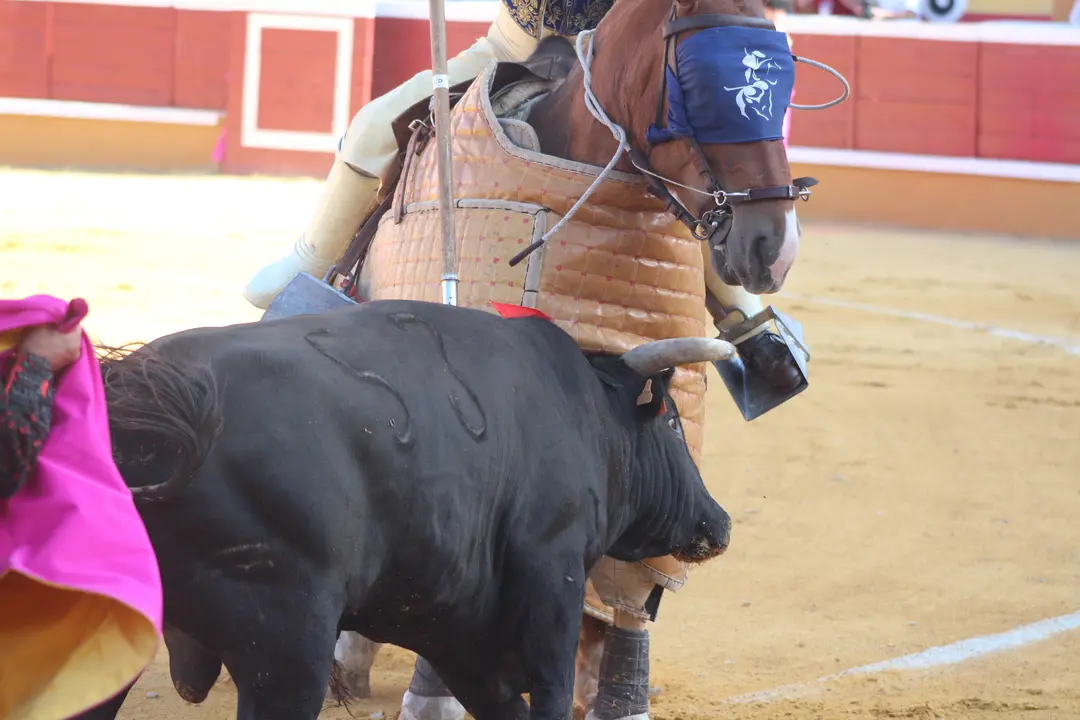 Novillada con picadores en Tudela d&iacute;a 25 2025 17