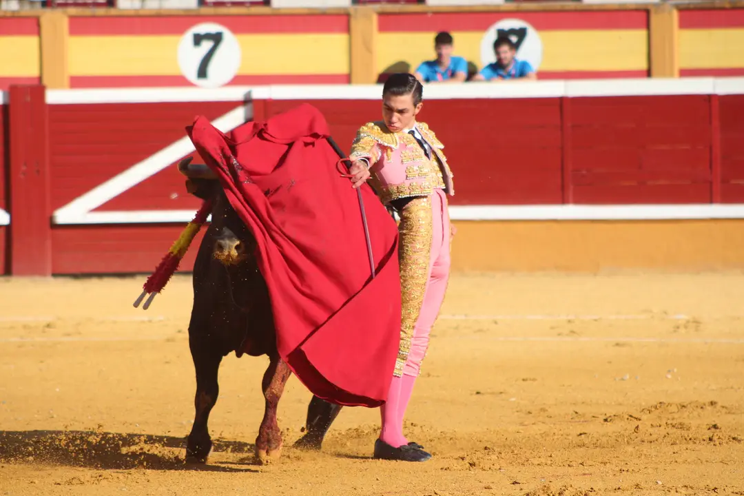 Novillada con picadores en Tudela d&iacute;a 25 2025 19