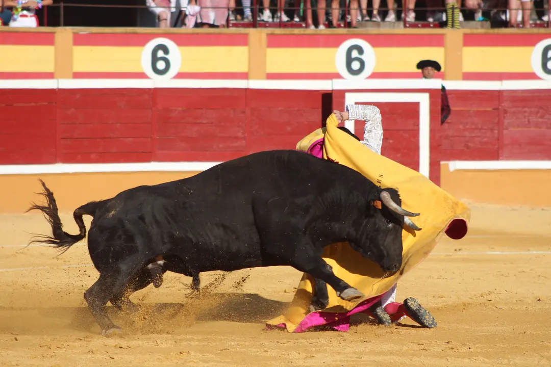 Novillada con picadores en Tudela d&iacute;a 25 2025 20