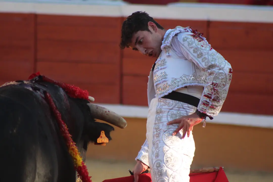 Novillada con picadores en Tudela d&iacute;a 25 2025 21