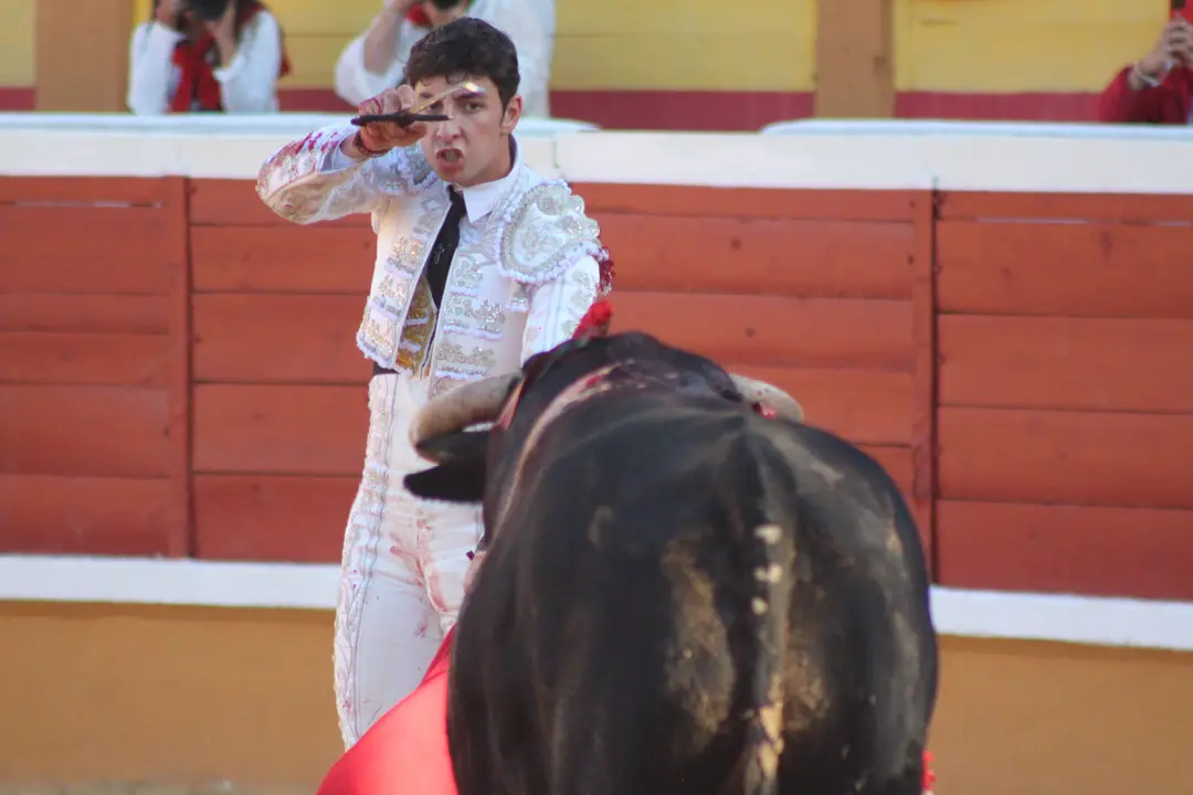 Novillada con picadores en Tudela d&iacute;a 25 2025 22