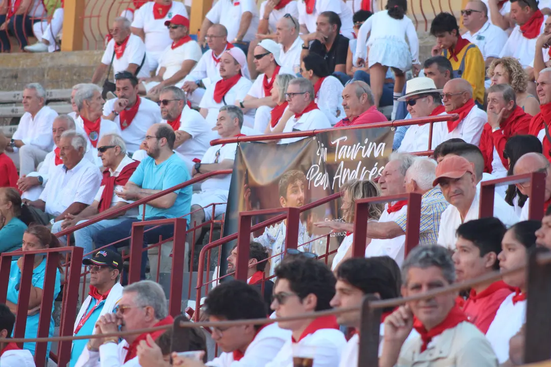 Novillada con picadores en Tudela d&iacute;a 25 2025 25
