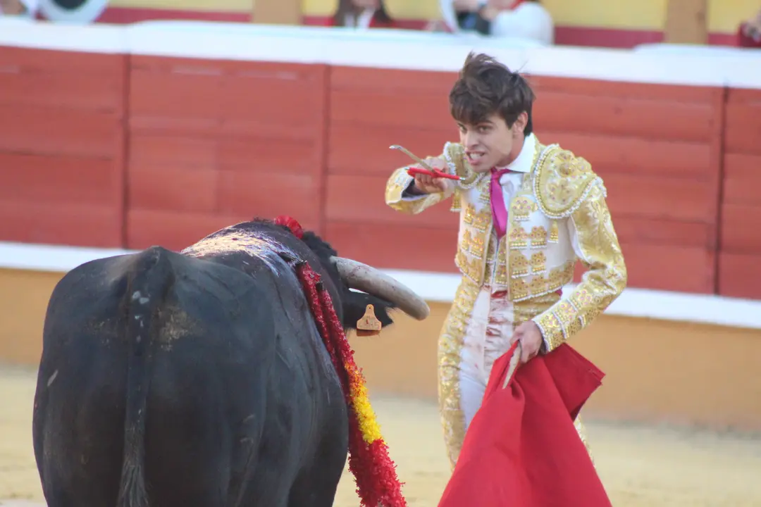 Novillada con picadores en Tudela d&iacute;a 25 2025 26