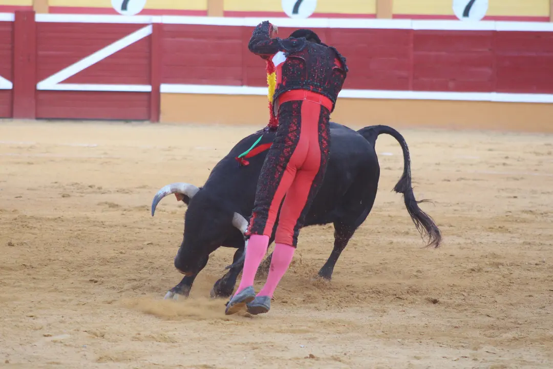 Novillada con picadores en Tudela d&iacute;a 25 2025 29