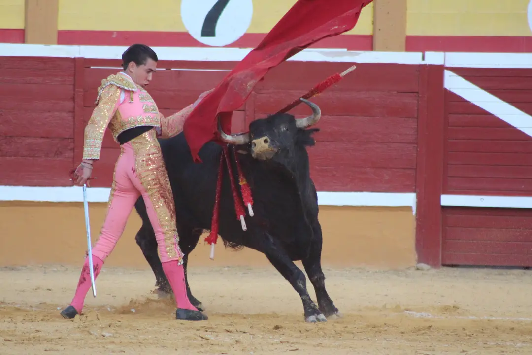 Novillada con picadores en Tudela d&iacute;a 25 2025 31