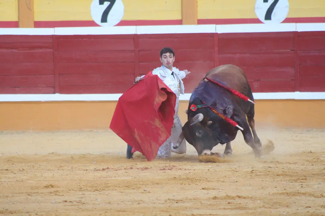 Novillada con picadores en Tudela d&iacute;a 25 2025 33