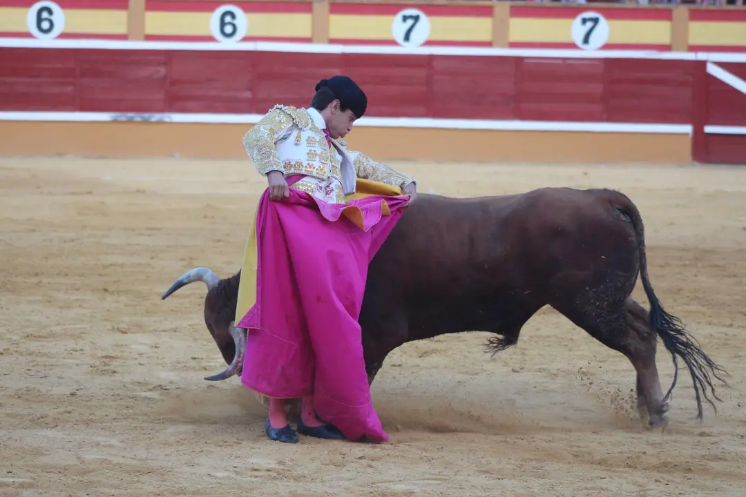 Novillada con picadores en Tudela d&iacute;a 25 2025 35