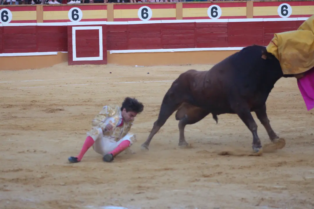 Novillada con picadores en Tudela d&iacute;a 25 2025 36