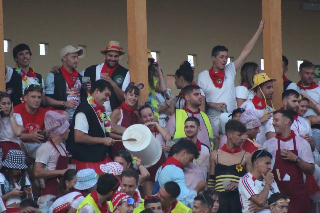 Novillada con picadores en Tudela d&iacute;a 25 2025 38