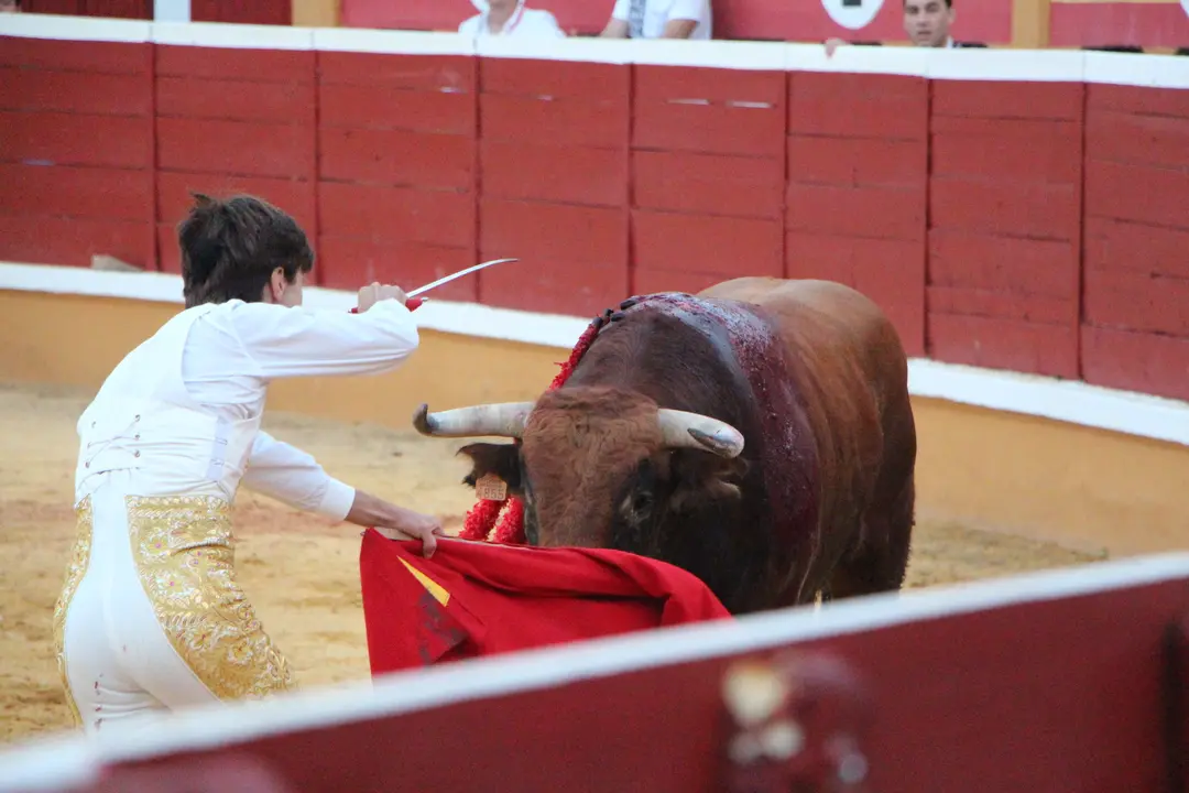 Novillada con picadores en Tudela d&iacute;a 25 2025 39