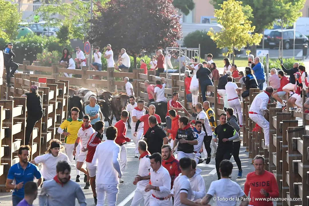 Encierro de Tudela d&iacute;a 26 2025 17