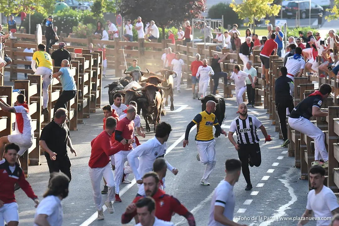 Encierro de Tudela d&iacute;a 26 2025 18