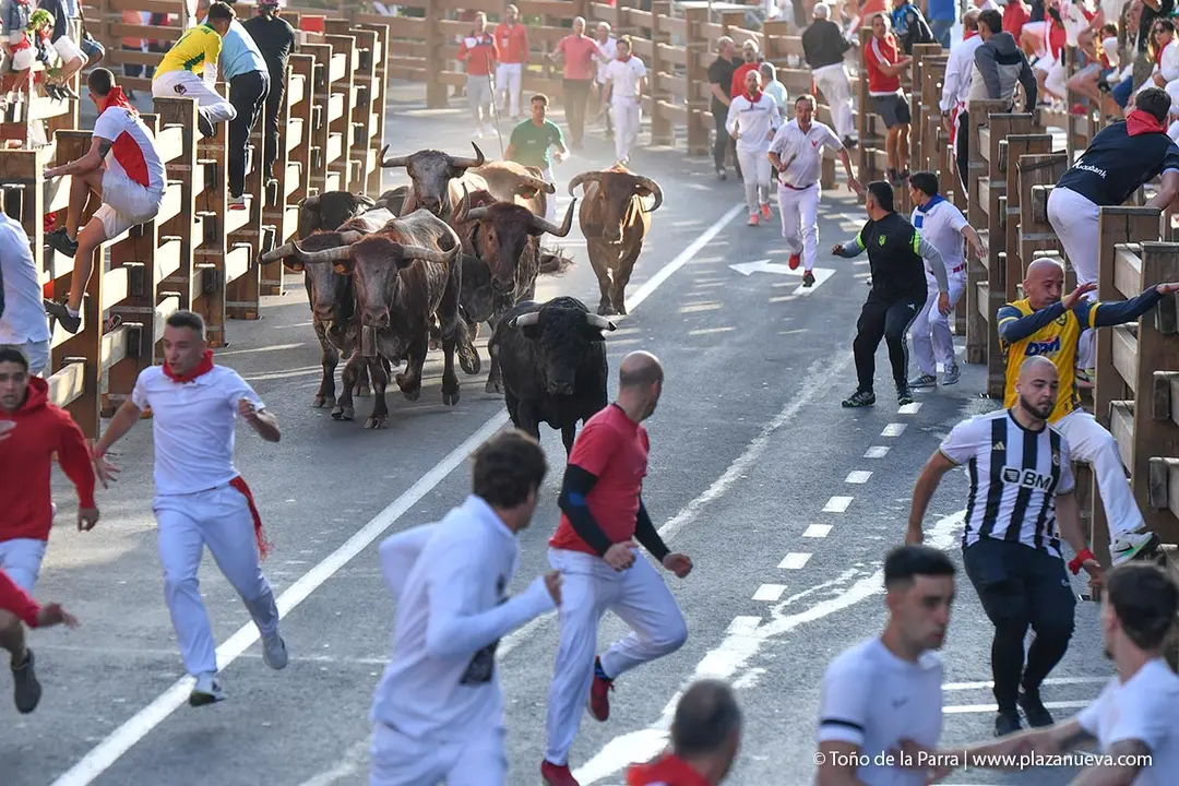 Encierro de Tudela d&iacute;a 26 2025 19