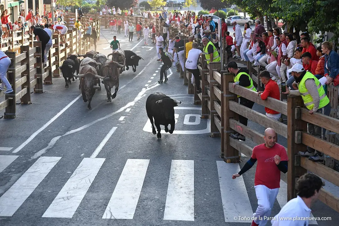 Encierro de Tudela d&iacute;a 26 2025 21
