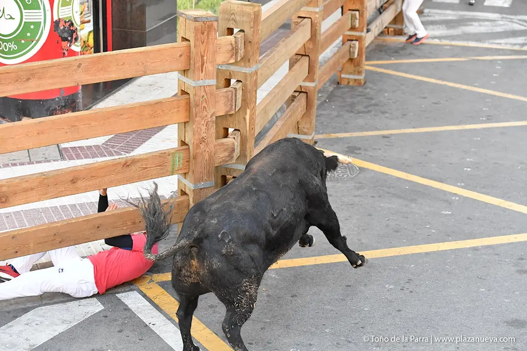 Encierro de Tudela d&iacute;a 26 2025 23