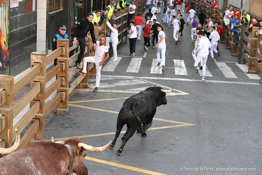 Encierro de Tudela d&iacute;a 26 2025 25